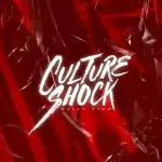 Vintage Culture - Culture Shock