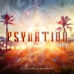 Ace Ventura & Liquid Soul - Psy-Nation Radio