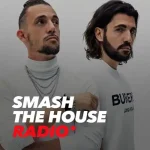 Dimitri Vegas & Like Mike - Smash The House Radio